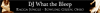 What the Bleep banner